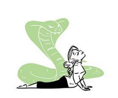 Bài tập yoga giảm cân, giảm mỡ bụng: tư thế rắn hổ mang