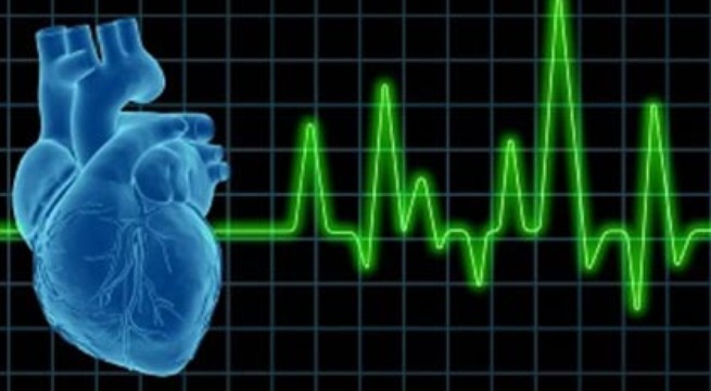 Những lưu ý khi tập với máy chạy bộ điện nhịp tim